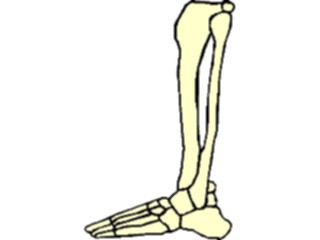 Sticker Custom Preview Image #014674 Anatomy Foot Leg2