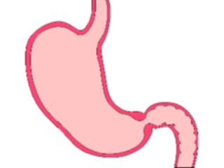 Sticker Custom Preview Image #014675 Anatomy Gastrointestinal1