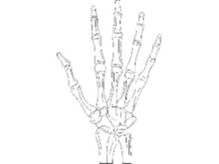 Sticker Custom Preview Image #014682 Anatomy Hand2