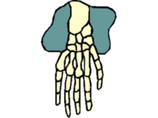 Sticker Custom Preview Image #014684 Anatomy Hand4