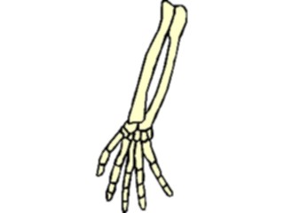 Sticker Custom Preview Image #014690 Anatomy Hand Arm