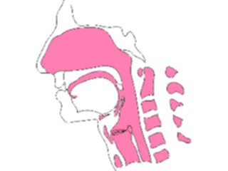 Sticker Custom Preview Image #014694 Anatomy Head Cross Section2