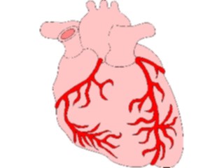 Sticker Custom Preview Image #014698 Anatomy Heart3