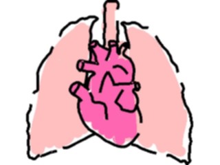 Sticker Custom Preview Image #014703 Anatomy Heart Lungs2