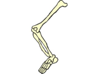 Sticker Custom Preview Image #014721 Anatomy Leg2