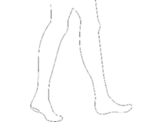 Sticker Custom Preview Image #014730 Anatomy Legs Walking1