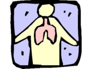 Sticker Custom Preview Image #014750 Anatomy Lungs1