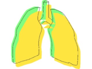 Sticker Custom Preview Image #014751 Anatomy Lungs2