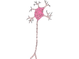 Sticker Custom Preview Image #014785 Anatomy Nerve Cell