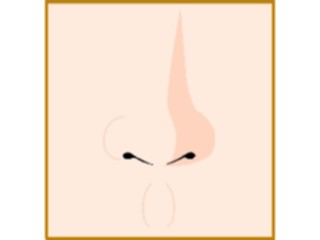 Sticker Custom Preview Image #014786 Anatomy Nose1