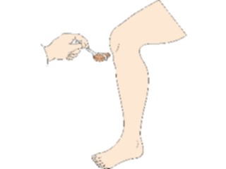 Sticker Custom Preview Image #014791 Anatomy Reflex