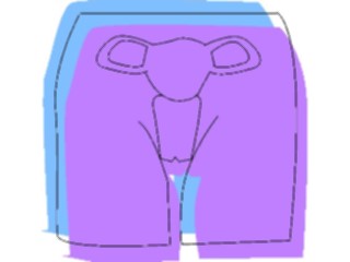 Sticker Custom Preview Image #014795 Anatomy Reproductive Female4