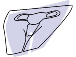 Sticker Custom Preview Image #014796 Anatomy Reproductive Female5