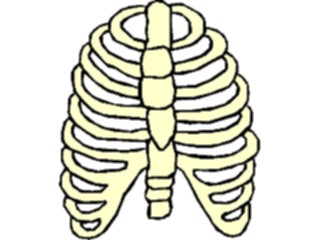 Sticker Custom Preview Image #014804 Anatomy Ribcage