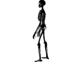 Sticker Custom Preview Image #014808 Anatomy Skeleton04