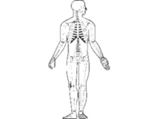 Sticker Custom Preview Image #014809 Anatomy Skeleton05