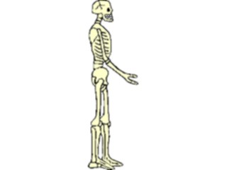 Sticker Custom Preview Image #014813 Anatomy Skeleton09