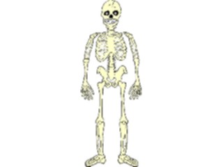Sticker Custom Preview Image #014814 Anatomy Skeleton10