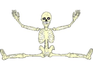 Sticker Custom Preview Image #014815 Anatomy Skeleton11