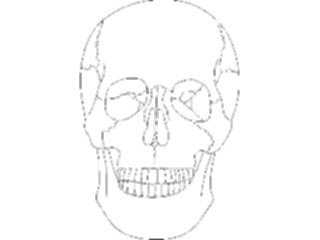 Sticker Custom Preview Image #014822 Anatomy Skull02