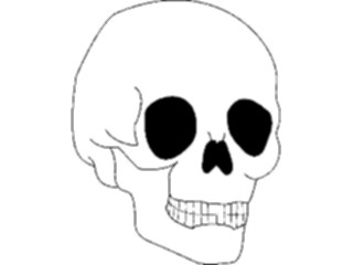 Sticker Custom Preview Image #014825 Anatomy Skull05