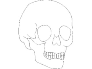 Sticker Custom Preview Image #014826 Anatomy Skull06