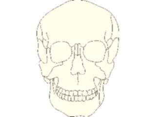 Sticker Custom Preview Image #014827 Anatomy Skull07