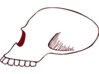 Sticker Custom Preview Image #014831 Anatomy Skull11