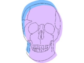 Sticker Custom Preview Image #014833 Anatomy Skull13
