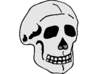 Sticker Custom Preview Image #014835 Anatomy Skull15