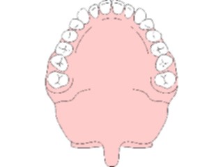 Sticker Custom Preview Image #014848 Anatomy Teeth