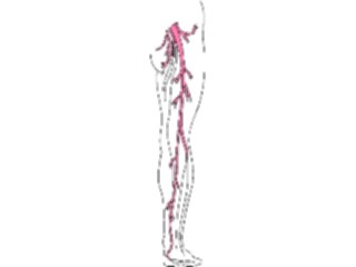 Sticker Custom Preview Image #014862 Anatomy Vasculature Leg2