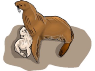 Sticker Custom Preview Image #014866 Animals Aquatic Seal Pup