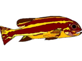 Sticker Custom Preview Image #014869 Animals Aquatic African Cichlid3