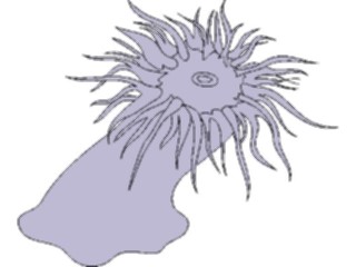 Sticker Custom Preview Image #014874 Animals Aquatic Anemone4