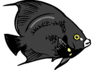 Sticker Custom Preview Image #014879 Animals Aquatic Angel Fish05