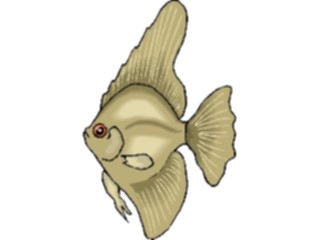 Sticker Custom Preview Image #014890 Animals Aquatic Angel Fish16