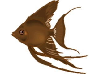 Sticker Custom Preview Image #014891 Animals Aquatic Angel Fish17