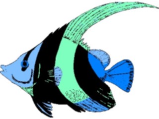 Sticker Custom Preview Image #014893 Animals Aquatic Angel Fish19