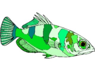 Sticker Custom Preview Image #014899 Animals Aquatic Archerfish