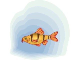 Sticker Custom Preview Image #014901 Animals Aquatic Barb1