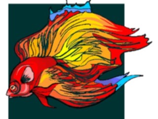 Sticker Custom Preview Image #014911 Animals Aquatic Betta2