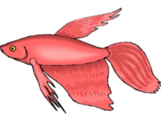 Sticker Custom Preview Image #014912 Animals Aquatic Betta3