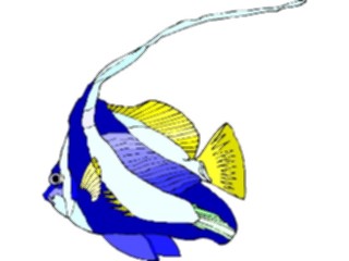 Sticker Custom Preview Image #014916 Animals Aquatic Black White Heniochious