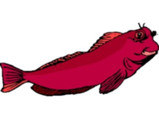 Sticker Custom Preview Image #014918 Animals Aquatic Blenny2