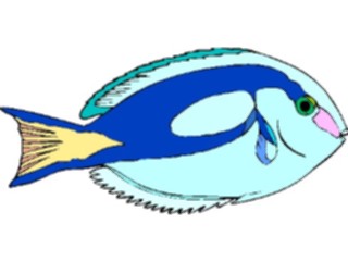 Sticker Custom Preview Image #014921 Animals Aquatic Blue Tang