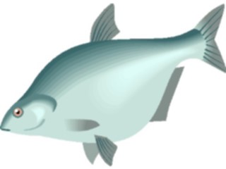 Sticker Custom Preview Image #014922 Animals Aquatic Bream