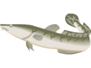 Sticker Custom Preview Image #014923 Animals Aquatic Burbot