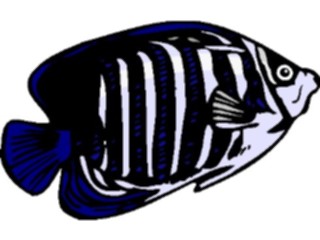 Sticker Custom Preview Image #014927 Animals Aquatic Butterfly4