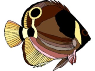 Sticker Custom Preview Image #014929 Animals Aquatic Butterfly Fish6